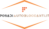 Posa di Autobloccanti